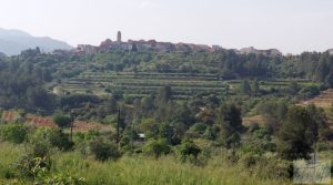 Se vende Finca de 7 hectáreas en Els Guiamets, comarca del Montsant-Priorat. con olivos y frutales por 96.000€