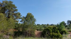 Finca de 7 hectáreas en Els Guiamets, comarca del Montsant-Priorat. en venta con olivos y frutales