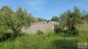 Finca de 7 hectáreas en Els Guiamets, comarca del Montsant-Priorat. para vender con almacén
