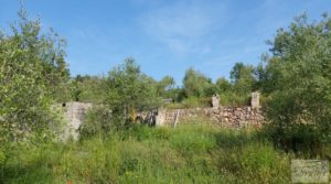 Foto de Finca de 7 hectáreas en Els Guiamets, comarca del Montsant-Priorat. en venta con almacén