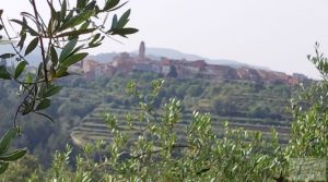 Finca de 7 hectáreas en Els Guiamets, comarca del Montsant-Priorat. para vender con almacén
