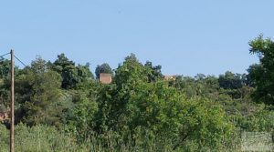 Finca de 7 hectáreas en Els Guiamets, comarca del Montsant-Priorat. para vender con almacén