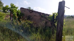 Se vende Finca de 7 hectáreas en Els Guiamets, comarca del Montsant-Priorat. con olivos y frutales por 96.000€