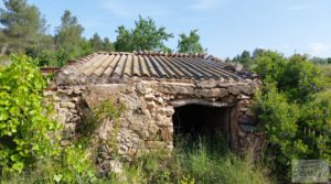 Vendemos Finca de 7 hectáreas en Els Guiamets, comarca del Montsant-Priorat. con olivos y frutales por 96.000€