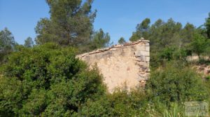 Finca de 7 hectáreas en Els Guiamets, comarca del Montsant-Priorat. en venta con olivos y frutales por 96.000€