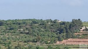 Finca de 7 hectáreas en Els Guiamets, comarca del Montsant-Priorat. para vender con olivos y frutales