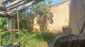Foto de Finca de 7 hectáreas en Els Guiamets, comarca del Montsant-Priorat. en venta con olivos y frutales por 96.000€