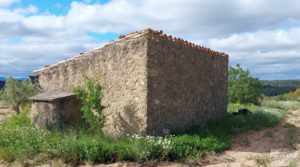Finca de almendros y olivos en Mazaleón, con casa de campo de piedra. a buen precio con buenos accesos por 19.000€