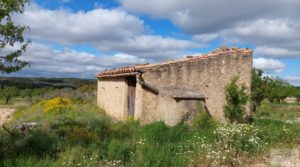 Finca de almendros y olivos en Mazaleón, con casa de campo de piedra. para vender con tranquilidad