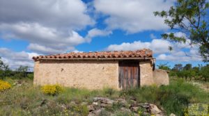 Foto de Finca de almendros y olivos en Mazaleón, con casa de campo de piedra. con tranquilidad