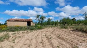 Detalle de Finca de almendros y olivos en Mazaleón, con casa de campo de piedra. con buenos accesos