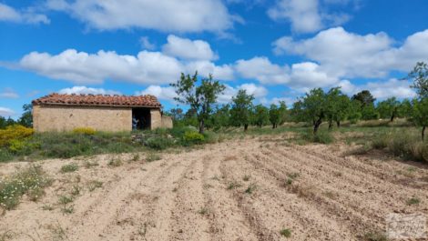 Finca de almendros y olivos en Mazaleón, con casa de campo de piedra.