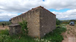 Foto de Finca de almendros y olivos en Mazaleón, con casa de campo de piedra. con buenos accesos