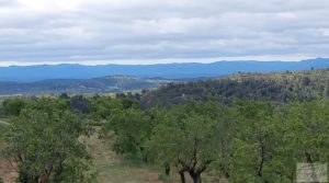 Se vende Finca de almendros y olivos en Mazaleón, con casa de campo de piedra. con tranquilidad