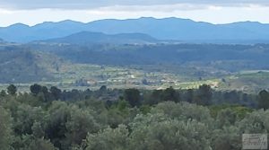 Se vende Finca de almendros y olivos en Mazaleón, con casa de campo de piedra. con buenos accesos
